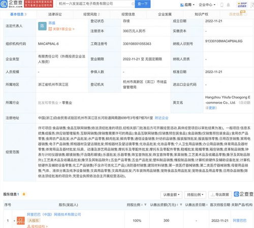 阿里巴巴成立一六發發電商新公司，強化網絡技術服務布局